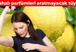 Ter kokusunu bıçak gibi kesiyor! Pahalı parfümleri aratmayacak tüyo: Uyumadan önce sürün ter kokusunu tamamen unutun