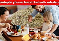 Aktarda kilosu 200 TL’den satılıyor! Gaziantep’te turistlerin yoğun ilgisini çekiyor: Bir yiyen bir daha vazgeçemiyor, iştahı zirveye çıkarıyor, iyi gelmediği hastalık yok