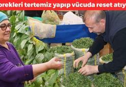 Türkiye'de değerini bilen yok! Kolesterolü düşürüp damarları açıyor, böbrekleri tertemiz yapıyor! Vücuda reset atan mucize bitki