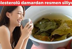 Japonlar bayıla bayıla içiyor! Kolesterolü anında damardan silip beyni fişek gibi yapıyor! Her gün 1 bardağı kanser riskini yüzde 0'a kadar düşürüyor!