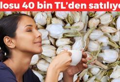 İmparatorların çayı olarak biliniyor, Japonlar bardak bardak içiyor! Kolesterolü düşürüp beyni fişek gibi yapıyor! Kilosu 40 bin TL