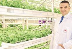 Yerin 30 metre derinliğinde 12 ay kesintisiz dikey tarım