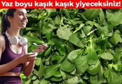 Yaz boyu kaşık kaşık yiyeceksiniz! Bu tarifi uygulamayan bin pişman: Vitamin depolarını fullüyor, metabolizma hızını yüzde 100’e çıkarıyor, bağışıklığınız düşmek nedir bilmeyecek