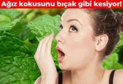 Ağız kokusunu bıçak gibi kesiyor! Bu tarifi uygulayanın ağzı bir daha kokmuyor: Ne tütün kokusu kalıyor ne çürük!