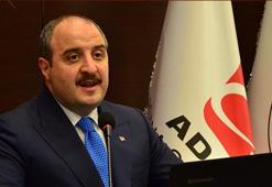 Mustafa Varank'tan başıboş sokak köpekleriyle ilgili açıklama