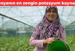 Pazarda 25 TL'den kapış kapış satılıyor! Dünyanın en zengin potasyum kaynağı, yüzde 90'u sudan oluşan besin!