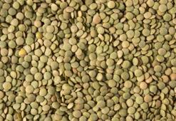 Halk arasında 'Kara Şimşek' olarak bilinen Yeşil Mercimeğin saymakla bitmeyen faydalarını duyunca şaşıracaksınız!