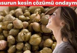 Demir ve B12 depolarını dolduran mucize! İspanyollar da bol bol tüketiyor, basurun kesin çözümüymüş!