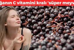 Kanserli eşi için yetiştirdi, iş sahibi oldu! Kilosunu 250 TL'den satıyor: Doğanın C vitamini kralı 'süper meyve'! Karaciğeri de yeniden doğmuş gibi yapıyor!
