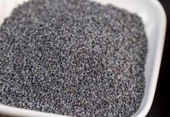 Magnezyum, manganez, demir ne ararsan onda! Omega-3'te balığı solluyor, kanser riskini sıfırlıyor!
