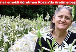 Kozan yaylalarında yetişiyor! Kilogramı 5 bin eurodan satılıyor: Balgamı kökünden kurutuyor, idrarı artırıyor