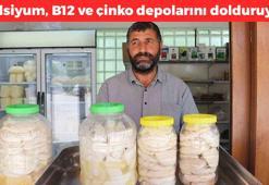 Tezgahta yerini aldı, dünyanın dört yanına kapış kapış satılıyor! Kilosu 180 TL: Kalsiyum, B12 ve çinko depolarını tıka basa doldurup kemikleri beton gibi yapıyor!