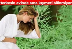 Uyumadan önce yiyince o sorun kökten çözülüyor! Faydalarını öğrenen pazara koşuyor: Hastalıklarla savaşıyor, kemikleri kolon gibi güçlendiriyor, kabızlığın kökünü kazıyor