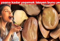 Uzun bir ömür isteyen kaşık kaşık yesin! İbn-i Sina yüzyıllar öncesinden önermiş: Kolesterolü damardan silip atıyor, yiyen tansiyon hastalığı nedir bilmiyor