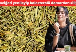 Japonlar bardak bardak içiyor! Karaciğeri yeniden doğmuş gibi yapıyor, iltihabın kökünü kazıyor! Kolesterolü damardan silen de oymuş