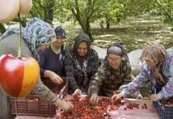 Kirazı görünce Galatasaray'ın şampiyon olacağını anladım! Fenerbahçeli üreticiyi şoke eden kiraz