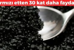 Mersin'de özel çıkarılıyor, kilosu 2500 dolardan satılıyor! B12, demir, D vitamini depolarını fullüyor, kırmızı etten 30 kat daha faydalı! Tıkalı damarları açıyor