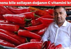 Tarlada kilosu 15, markette ise 80 TL'den satılıyor! Fiyatıyla üzse de faydasıyla yüz güldürüyor, doğal tansiyon ilacı! Limonu bile sollayan doğanın C vitamini kralı