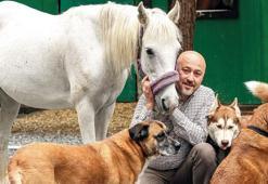 Hayvanlar için bağırıp çağırmak yerine öneriler sunmak zorundayız