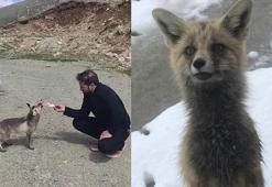 'Feride' bu yıl da yaylanın yolunu tuttu! 3 yıllık dostluk