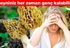 Yediğiniz anda beyniniz 20 yaş gençleşiyor! B ve D vitamin deposu: Hücrelere reset atıyor, sağlığın şifası onda