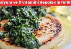 Kıbrıs'tan tüm dünyaya yayılıyor! Dünyanın en güçlü protein kaynağı: Kalsiyum ve D vitamini depolarını fulleyip cayır cayır kilo verdiriyor!