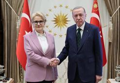 Cumhurbaşkanı Erdoğan, Akşener ile bir araya geldi