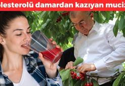 Amasya'dan Rusya ve Almanya'ya kilo kilo satılıyor! 75 gün hasat ediliyor: Suyunu bardak bardak içince damardaki kolesterolü sıfırlıyor! Doğal tansiyon ilacı