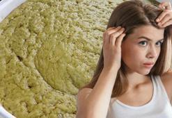 Türkiye'de en çok Hatay'da yetişiyor! Ticaretini yapan zengin oluyor: Saç egzaması ve kaşıntısının çaresi onda