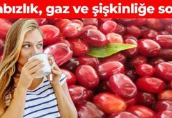 Lokman Hekim tüm hastalara içiriyordu! Avuç avuç yiyen hastalık yüzü görmüyor: İdrar yollarındaki enfeksiyonu söküp atıyor, kabızlığın kökünü kazıyor, vücuda format atıyor