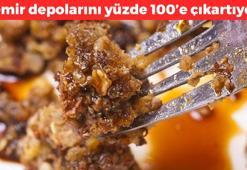 Demir depolarını yüzde 100'e çıkartıyor! Anemiyi bitiriyor, kabızlığın kökünü kazıyıp kan şekerini dengeliyor!