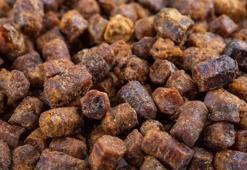 Dünyanın en güçlü antioksidanı! Kanserden koruyup iltihabın kökünü kazıyor, cilde içten kolajen yüklüyor! Bağışıklık sistemini fişekleyen de oymuş