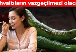Bursa’nın yeşil altını olarak da biliniyor! Günlük C vitamini ihtiyacının 2 katını karşılıyor: Metabolizmayı ateşliyor, hastalıkların kökünü kazıyor, kabızlığa son veriyor, kahvaltıda yemelere doyamayacaksınız