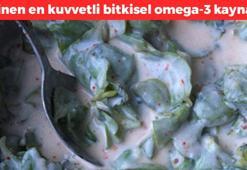 Doğadaki en kuvvetli bitkisel omega-3 deposu! Pirpirim adıyla da biliniyor: Kötü kolesterolü silip iltihabı kurutuyor! Kanserden koruyan doğal kalp ilacı