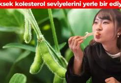 Çinliler avuç avuç yiyor! Kilosu 100 TL’den satılıyor: Yüksek kolesterolü yerle bir ediyor, bağışıklığı beton gibi güçlendiriyor, kansersavar besinler arasında bulunuyor, dünyanın en güçlü protein kaynağı