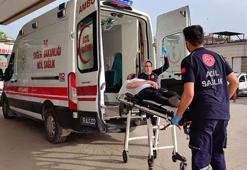 Arılar soktu! Sağlık ekiplerinden mucize kurtarış