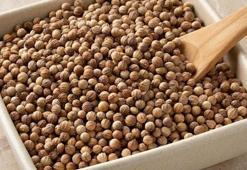 Basura en doğal çare ondaymış! 1 kaşık balla karıştırıp yiyince ağrıyı sızıyı bıçak gibi kesiyor! Kolesterolü de damardan silip atıyor