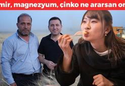 Kilis'te hasadı başladı: Demir, magnezyum, çinko ne ararsan onda! Kolesterolü damardan silip atıyor