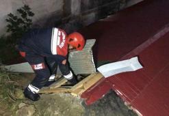 Yavru kedi 4 metre yükseklikten düştü, yavrusuna kavuşan anne kedi görenleri duygulandırdı