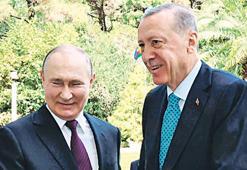 Diplomaside yaz trafiği