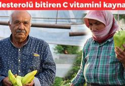Coğrafi işaret belgeli Kale mucizesi tezgahlarda yerini aldı! Kolesterolü damardan kazıyan C vitamini deposu! Demir eksikliğinin kesin çözümü ondaymış