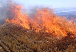 Anız yangını felaketinin boyutu gün ağarınca ortaya çıktı! Ölü sayısı 11'e yükseldi