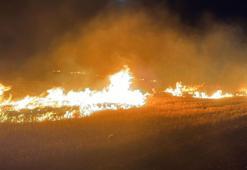 Anız yangınında ölü sayısı 12 oldu! Mardin'de 5 noktada yangın çıktı