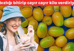 Çinliler avuç avuç yiyor! Beldeki yağları cayır cayır eritip anında 2 beden inceltiyor! Kolesterol düşmanı, kabızlığı da bitiriyor!