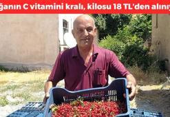Hisarcık'ta alımına başlandı! Kilosu 18 TL: Suyunu sıkıp bardak bardak içince kolesterolü damardan kazıyıp atıyor! Doğanın C vitamini kralı