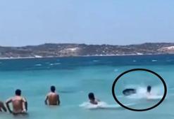 İzmir Çeşme’de plajda panik! Köpek balığı sandılar