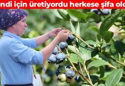 Halk arasında ‘mavi yemiş’ olarak biliniyor! Altın gibi tartılarak satılıyor: Dünyanın en güçlü C vitamini kaynağı, iltihabın kökünü kazıyor, avuç avuç yiyince beyni gencecik yapıyor