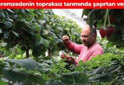Depremzedenin geçim kaynağında hasat başladı! Topraksız tarımla üretilen besin avuç avuç yendiğinde şifa dağıtıyor: Günlük C vitamini ihtiyacını tek başına karşılıyor, Antik Romalılar onu ilaç olarak kullanıyordu
