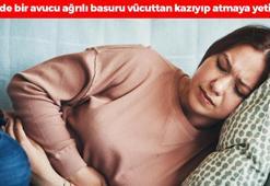 Ağrılı basurun kesin çözümü! Günde bir avuç kullanmak bile yetiyor, vücudu rahatlatıp sancı ve yanma hissini yok ediyor!
