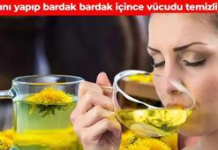 Halk arasında ‘doğanın şeytan tüyü’ olarak da biliniyor! Yol kenarında kendiliğinden yetişiyor: İdrar yollarını çamaşır suyuyla temizlenmiş gibi yapıyor, bağırsaklardaki gazı yok ediyor